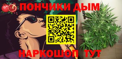 прущие грибы Кингисепп