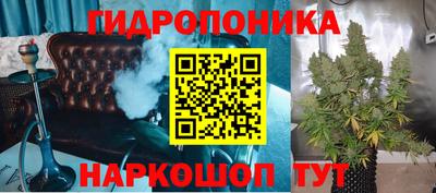 молекула духа Камышлов