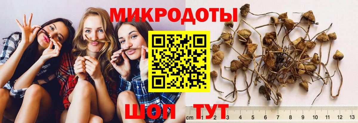 Галлюциногенные грибы MAGIC MUSHROOMS Кстово